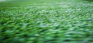 绿色草地草坪背景高清