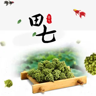田七中草药免抠