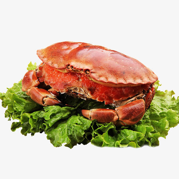 英国面包蟹免抠