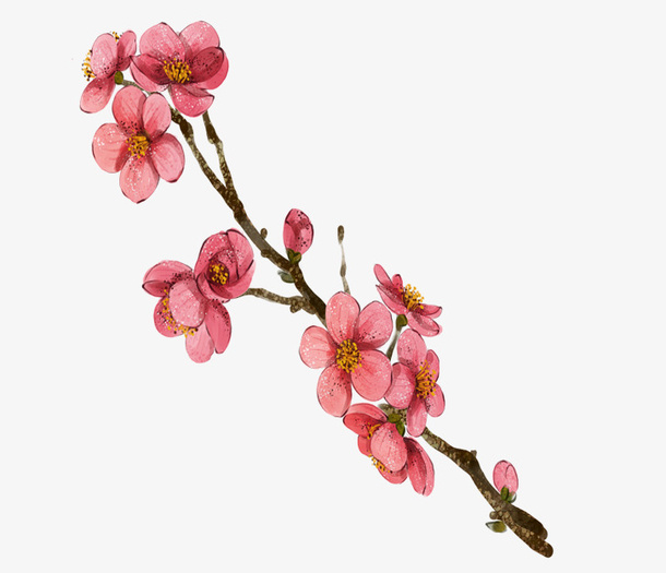 水彩梅花免抠
