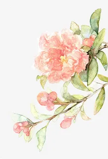 唯美中国古风水彩插画免抠装饰植物元素 唯美中国古风水彩插画免抠装饰植物元素