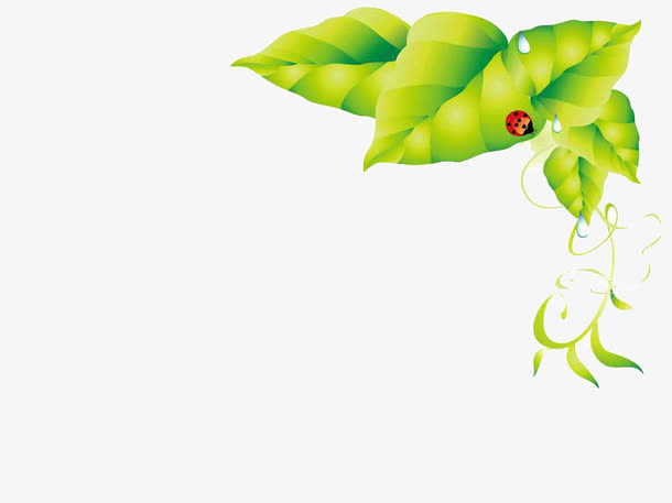 绿植与瓢虫ppt模板免抠