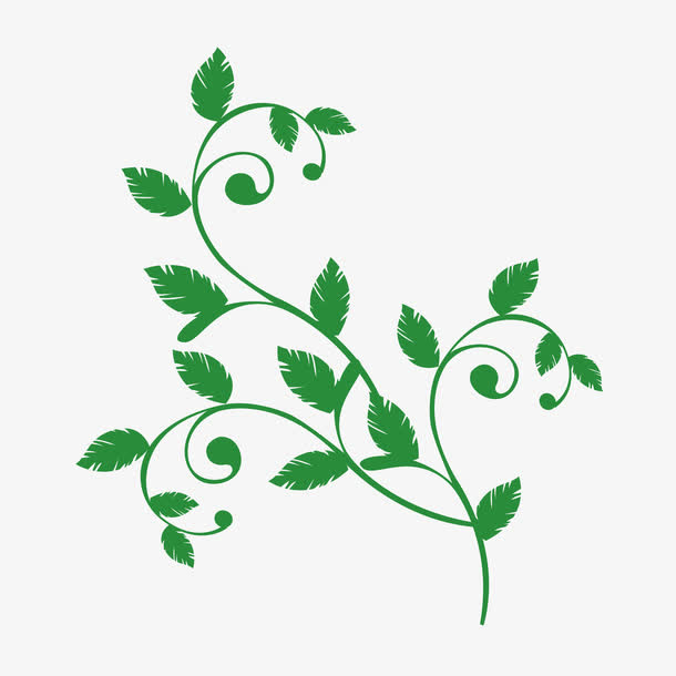 欧式花纹边框免抠