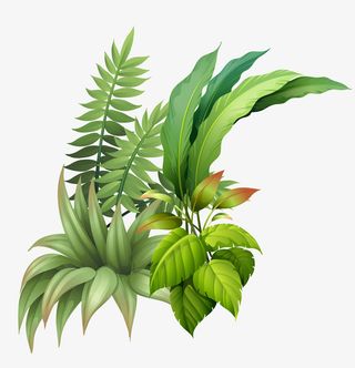 卡通手绘夏季绿色植物免抠动植物植物元素