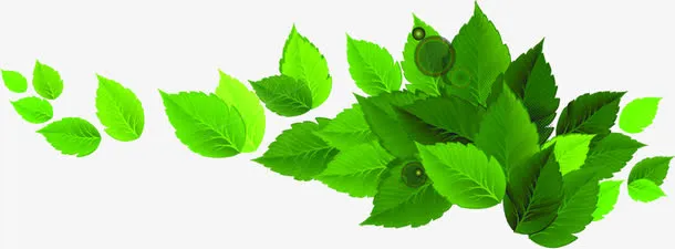 唯美春天树叶装饰免抠