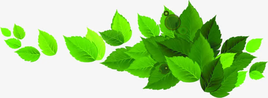 唯美春天树叶装饰免抠