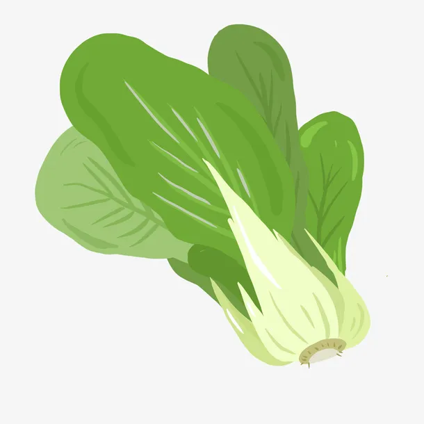 绿色植物白菜插画捍免抠