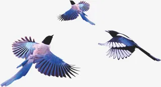 情定七夕钟爱一生海报-鸟装饰n鸟免抠手绘/卡通卡通元素