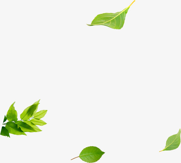 春季清新植物边框装饰免抠