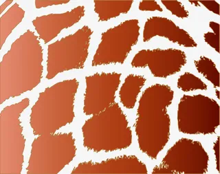 底纹 纹理 背景