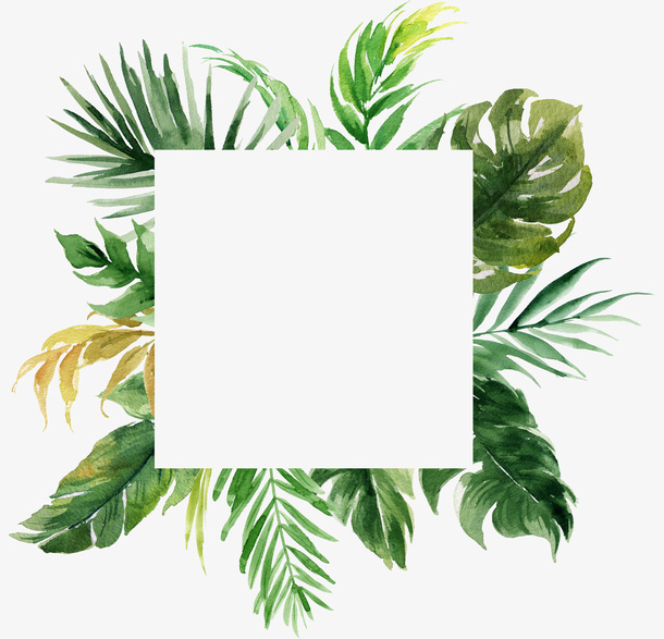 方形的绿叶植物手绘免抠