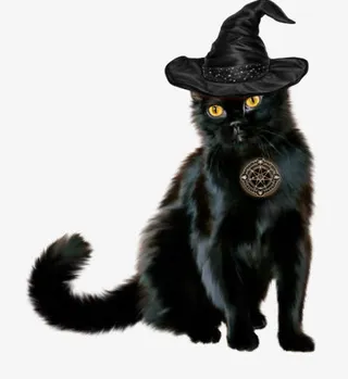 黑色万圣节黑猫免抠