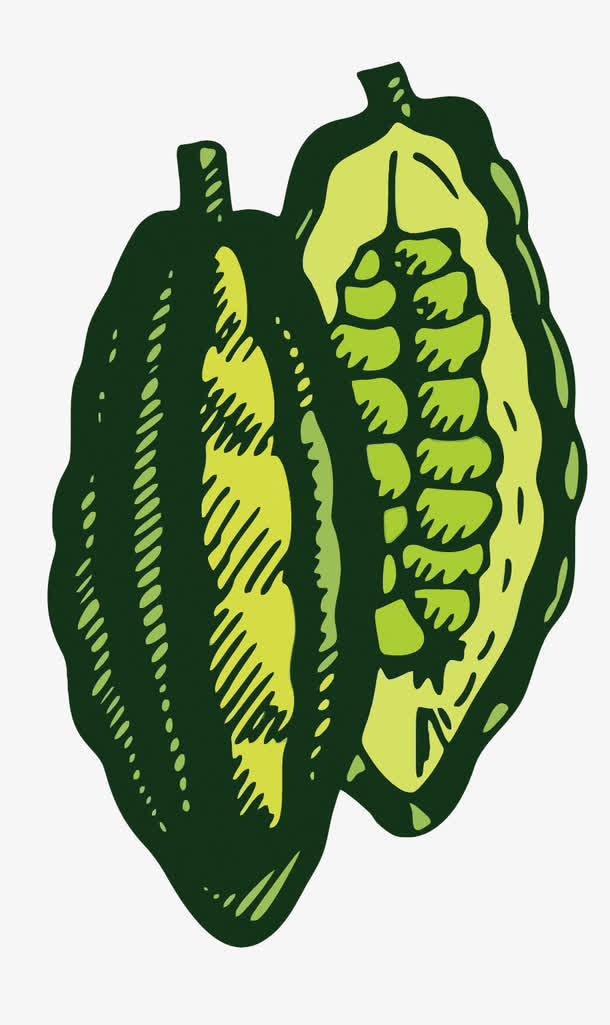 矢量苦瓜免抠