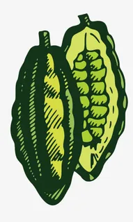 矢量苦瓜免抠