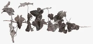 质感纹理图片复古花纹免抠