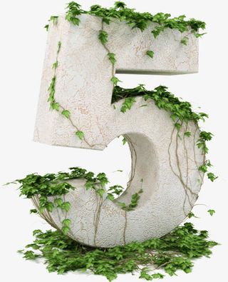 绿色立体数字花藤劳动节免抠