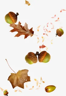 松果 树叶音乐符号png素材免抠