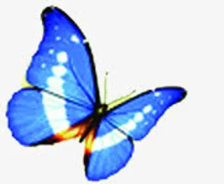 春天蓝色纹理光效蝴蝶装饰免抠装饰动物元素