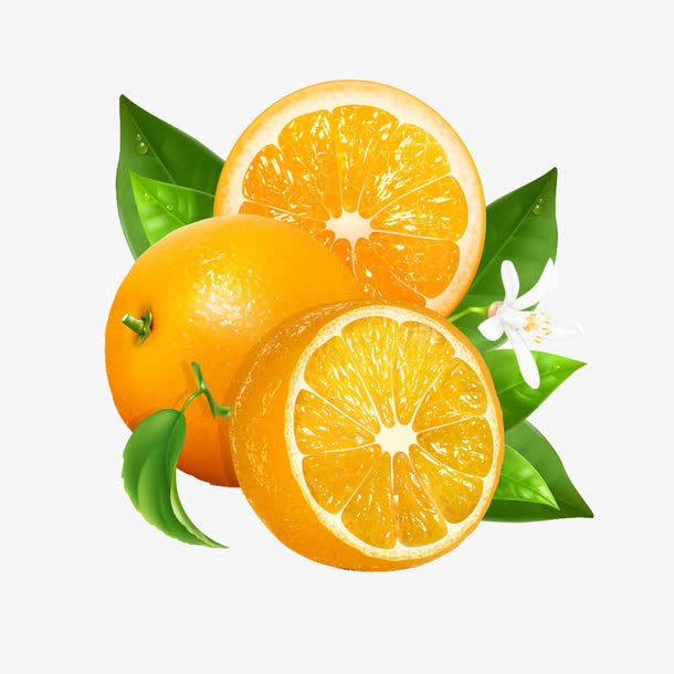 甜橙设计免抠