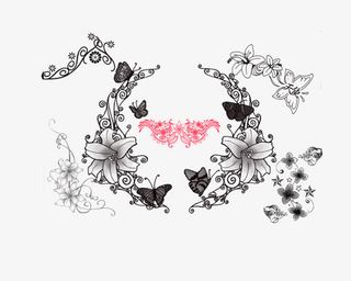 黑色花朵边框免抠