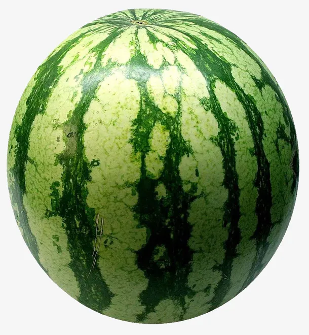 西瓜素材免抠