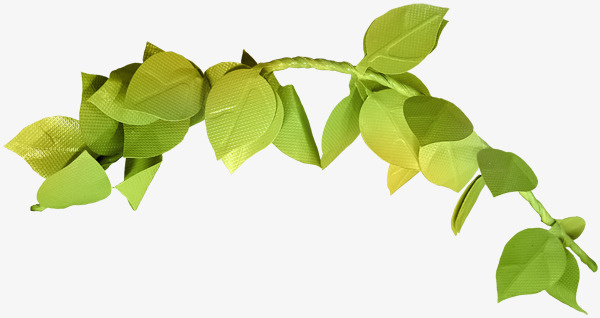 装饰卡通花草线描免抠