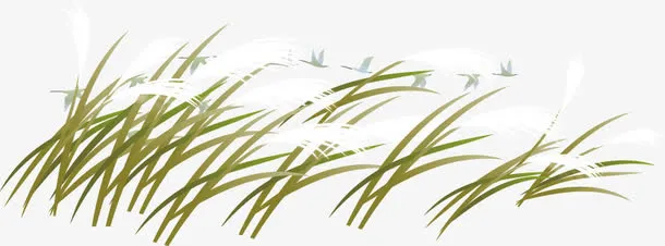 矢量装饰图案免抠