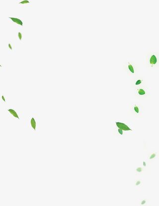 绿叶落叶装饰元素免抠