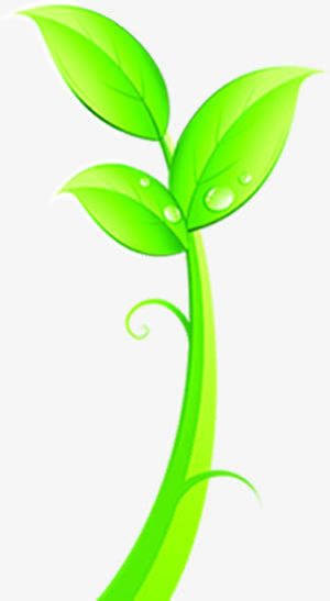 手绘春季树叶水滴装饰免抠