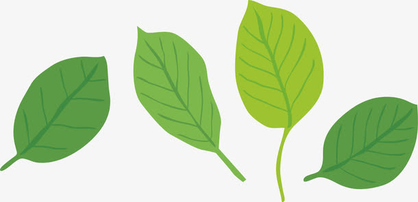 漂浮叶子飘落的叶子免抠