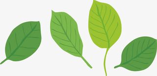 漂浮叶子飘落的叶子免抠