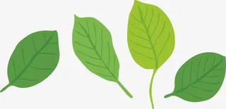 漂浮叶子飘落的叶子免抠