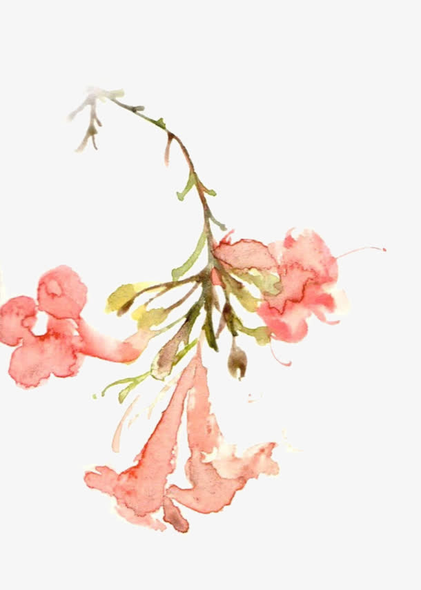 水彩手绘花图片素材免抠