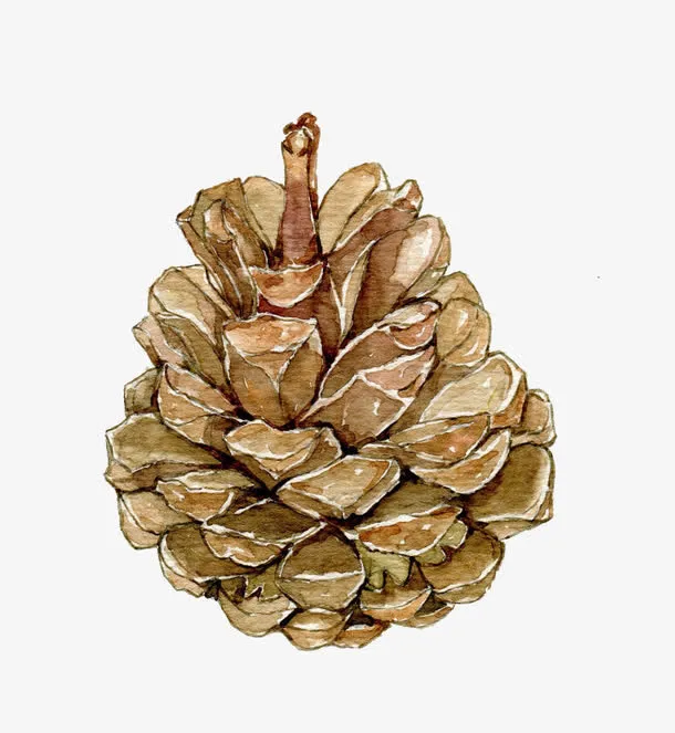 手绘的榛子免抠