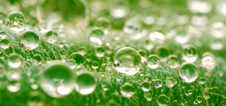 绿色透明水珠高清