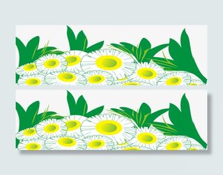 春天绿色叶子花朵免抠