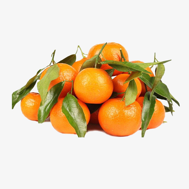 砂糖橘素材免抠