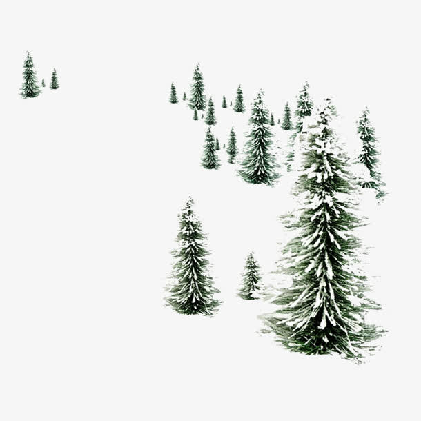 树林落满雪花免抠
