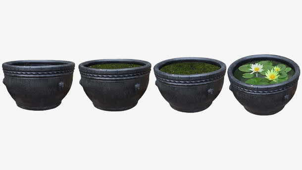 树木荷花水缸免抠