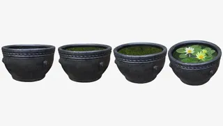 树木荷花水缸免抠