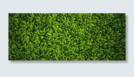 茶叶小清新绿色淘宝海报背景免费下载高清 茶叶小清新绿色淘宝海报背景免费下载高清