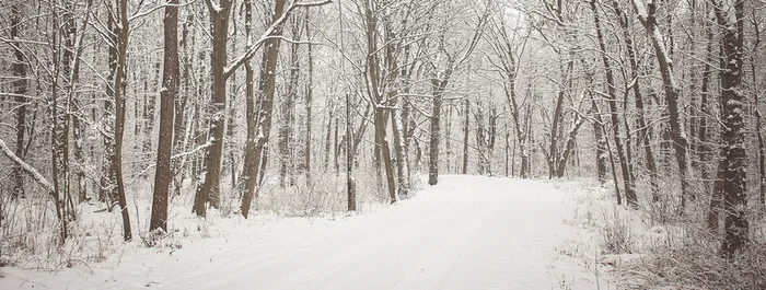 冬天雪后背景图高清