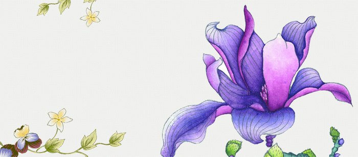 唯美花瓣背景高清