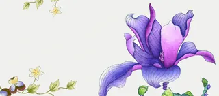 唯美花瓣背景高清