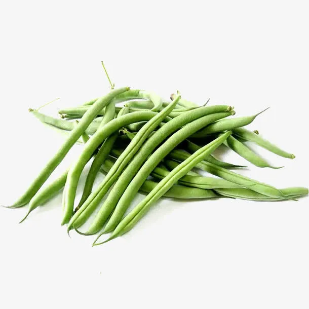 四季豆素材免抠