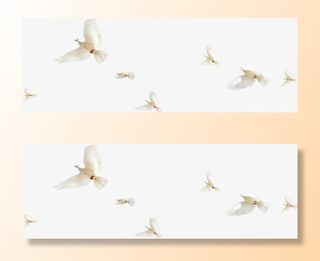 春天飞翔的动物鸽子免抠装饰动物元素