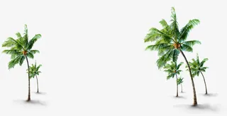 高清春季海边椰树免抠