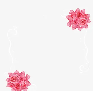 玫瑰免抠