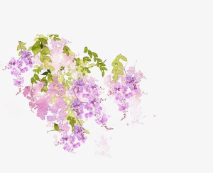 花儿开了免抠