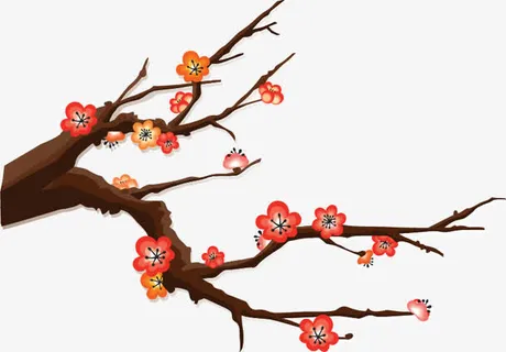 梅花免抠
